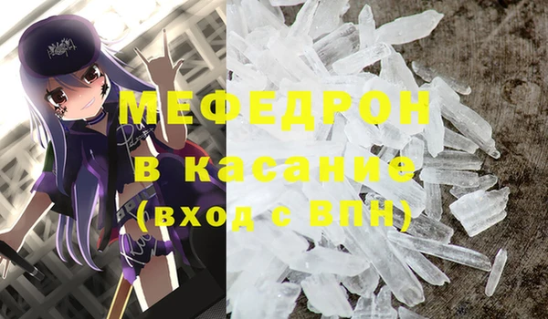 шишки Абаза