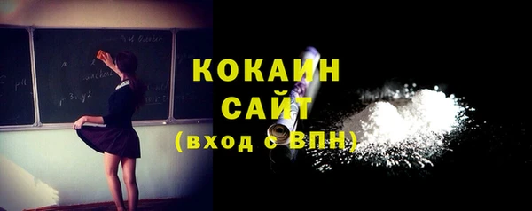 шишки Абаза