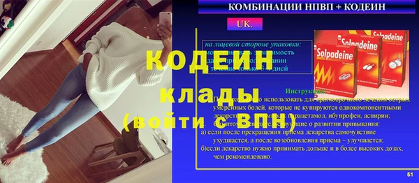 дмт Пересвет