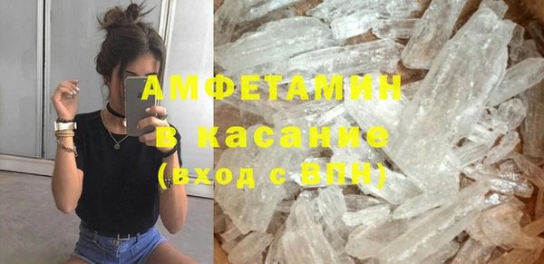 шишки Абаза