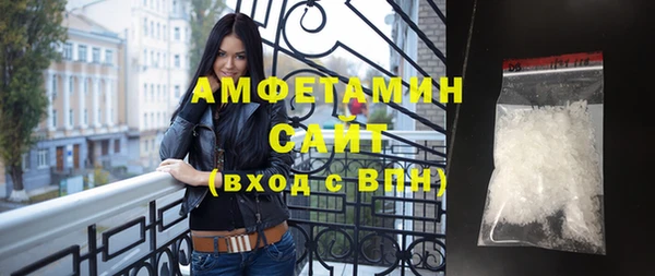 шишки Абаза