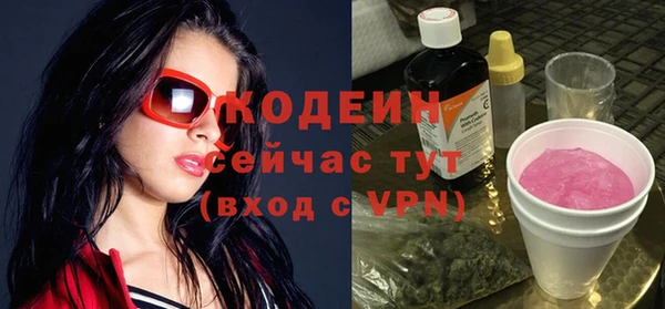 дмт Пересвет