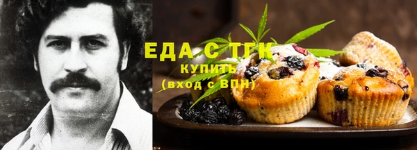 шишки Абаза