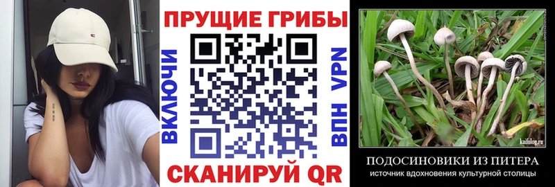 Галлюциногенные грибы мухоморы  Александровск-Сахалинский 